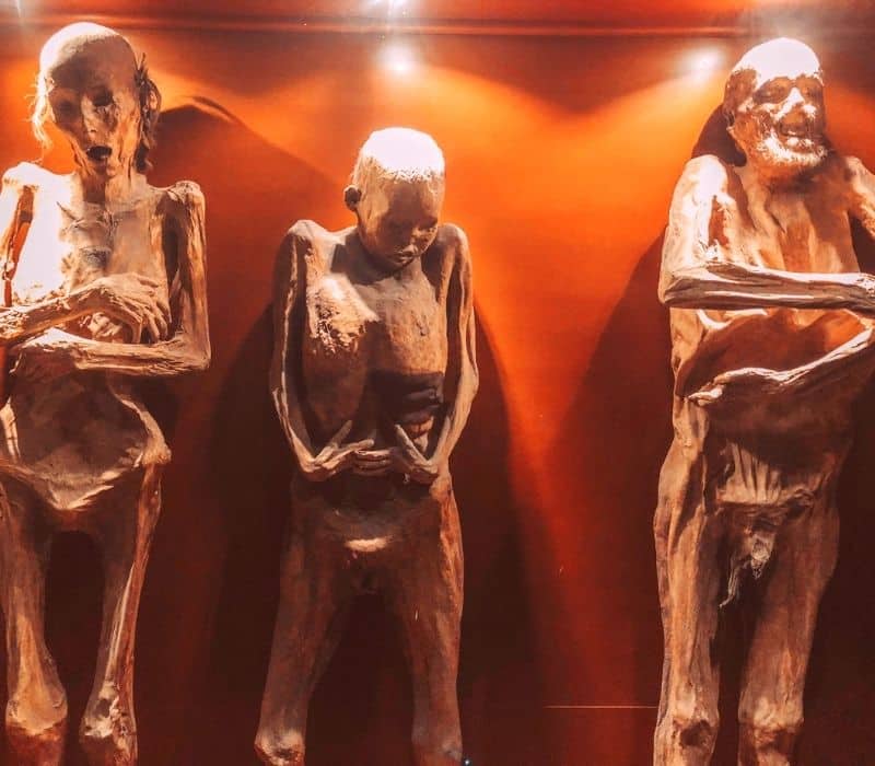 mummified human bodies | Guanajuato Mummy Museum | best things to do in Guanajuato, mexico