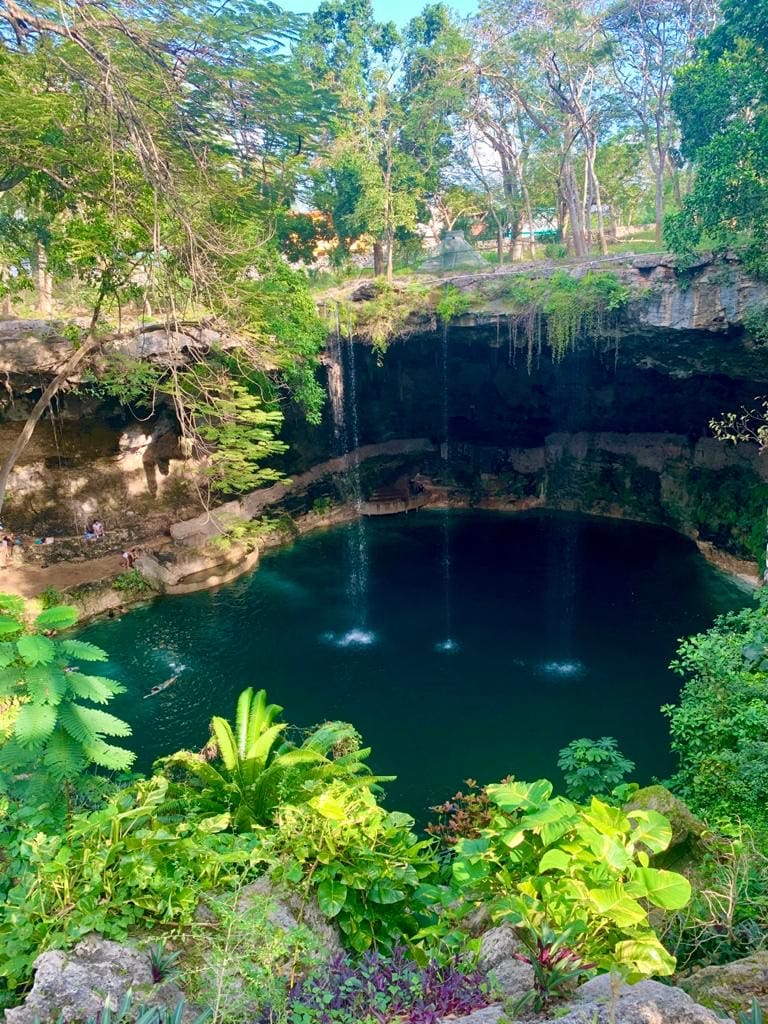 natural jungle pool in valladolid mexico called cenote zaci