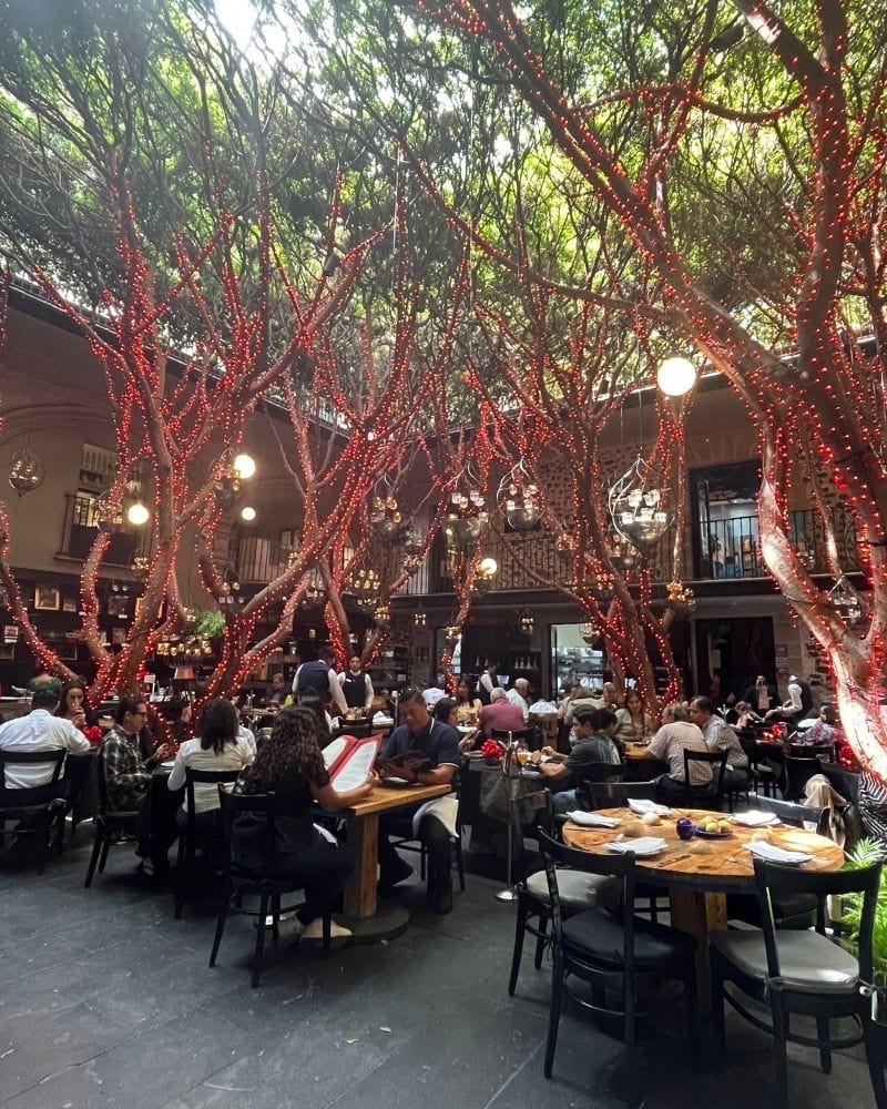 Diners in the tree-filled courtyard of Azul Histórico in Mexico City