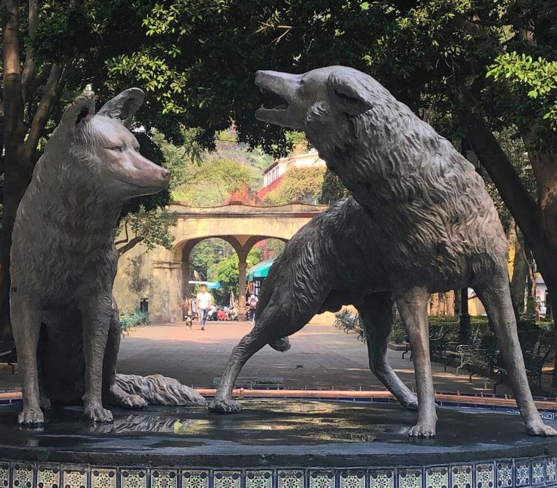 coyoacan coyotes statue