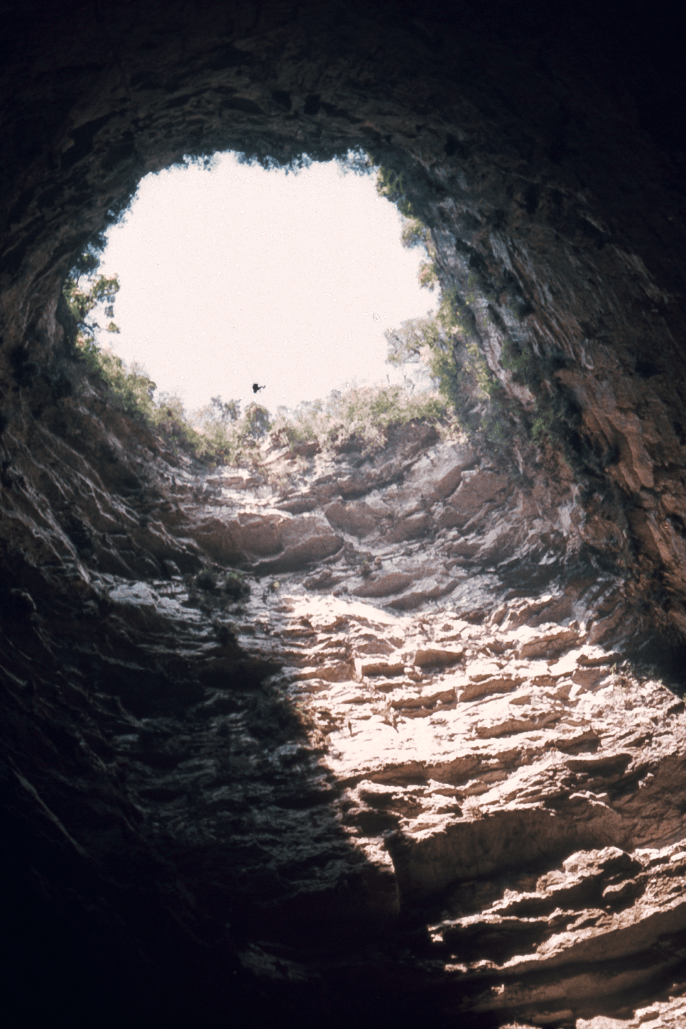 deep cave of swallows | landmarks in mexico