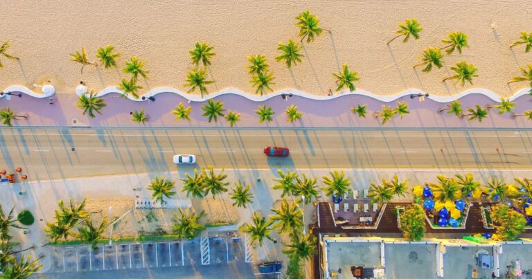 cars driving on a beachfront road