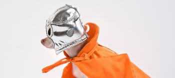dog masked as wrestler