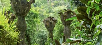 Tamul Waterfall, water falling over to the river