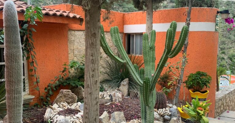 Las Grutas de Tolantongo hotels