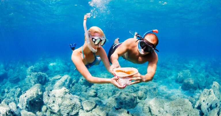 man and woman snorkeling holding a large shell