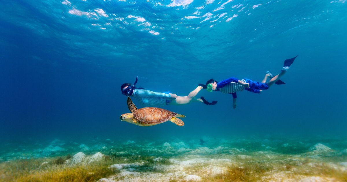 swimming with turtle in Akumal