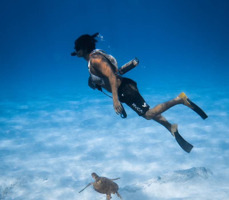 man swimming with turtles in Akumal