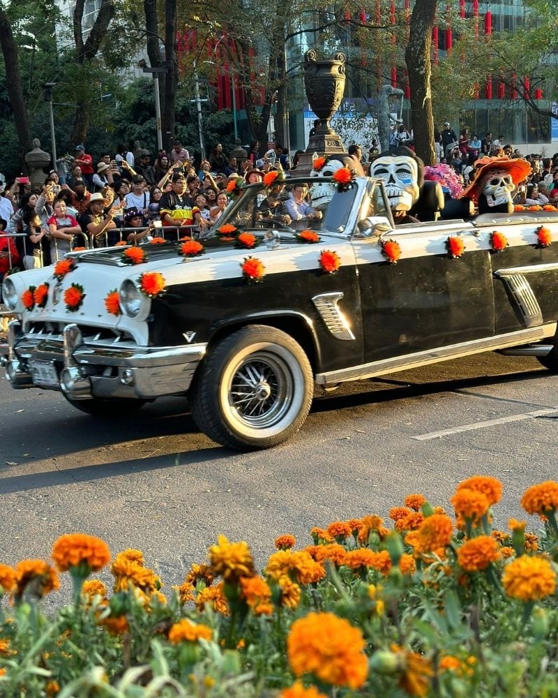 Vintage convertible decorated with marigolds carrying skeleton figures in the Mexico City parade for Day of the Dead
