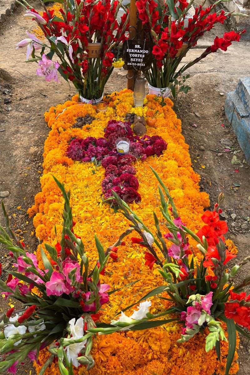 marigold flowers on grave in cemetery decorated for day of the dead mexico