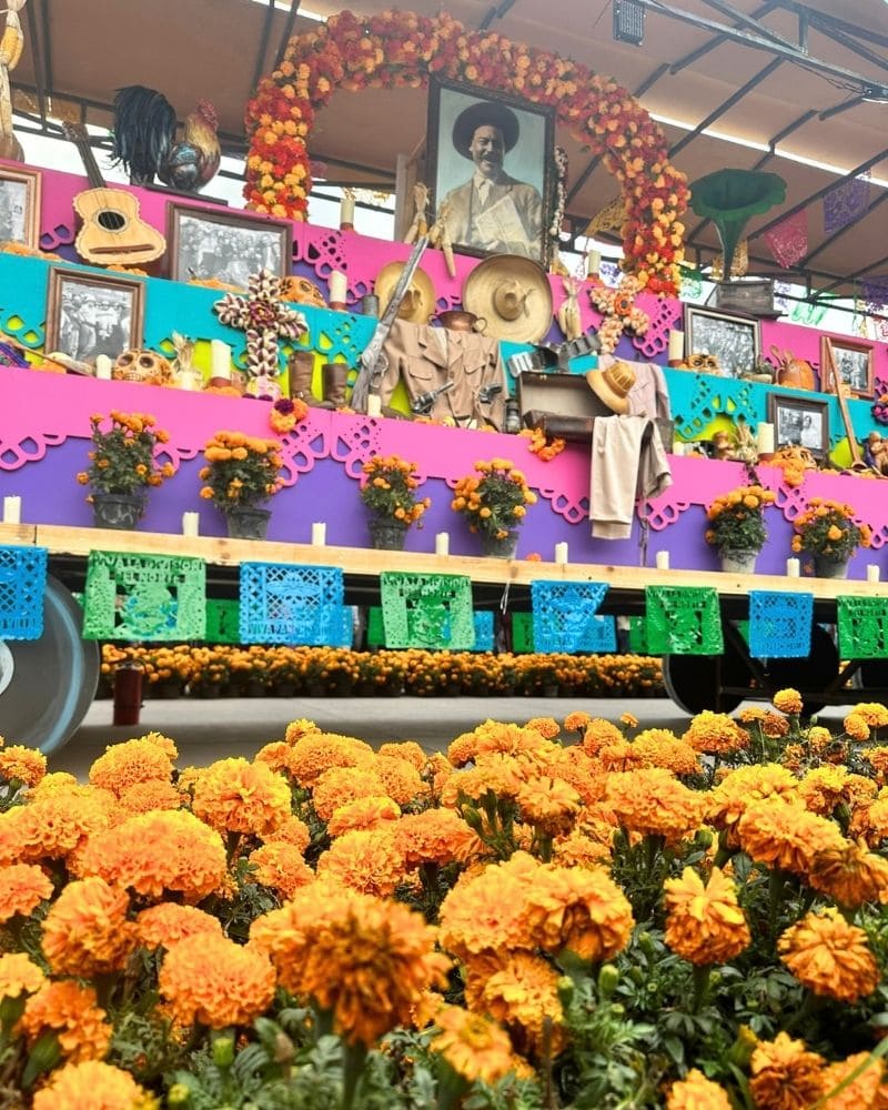 Public ofrenda with photos, papel picado and a marigold arch above rows of marigolds in Mexico City for Day of the Dead