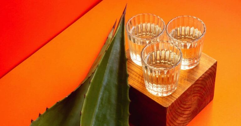 three cups of small next to large plant leaf with a bright orange background | best mezcalerias oaxaca