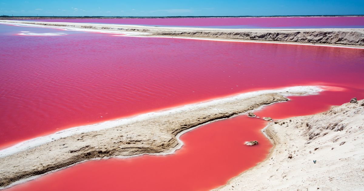 las coloradas pink lakes day trip from cancun