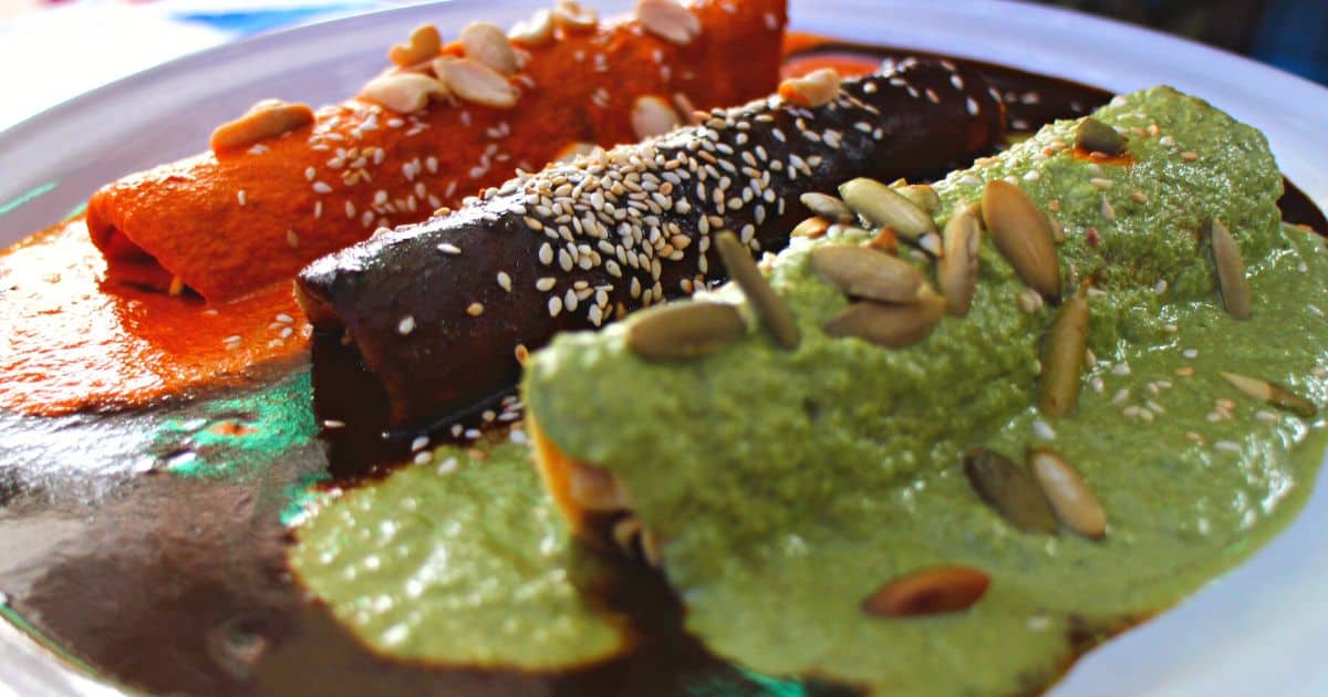 red, black and green mole enchiladas on a place | best oaxaca foods in mexico and best oaxaca moles
