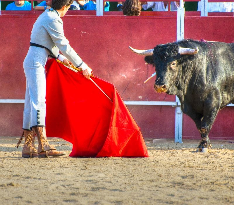 bull fighting in Mexico