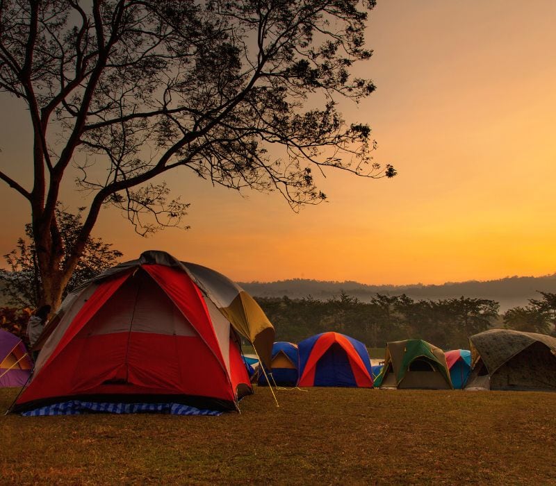 camping tents