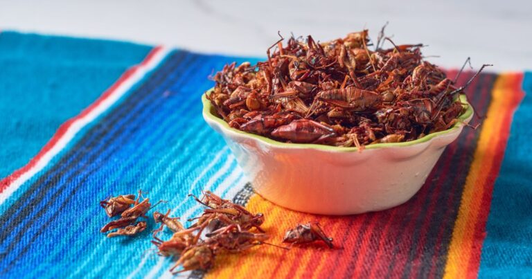 a bowl of chapulines, a mexican delicacy of grasshoppers, which some consider a weird mexican food