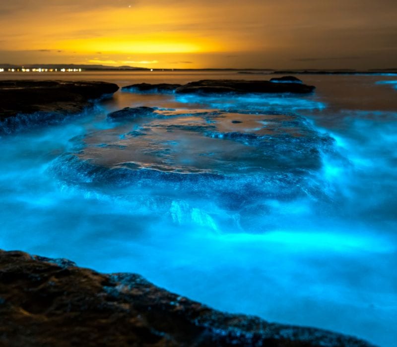blue glowing waters of australia bay