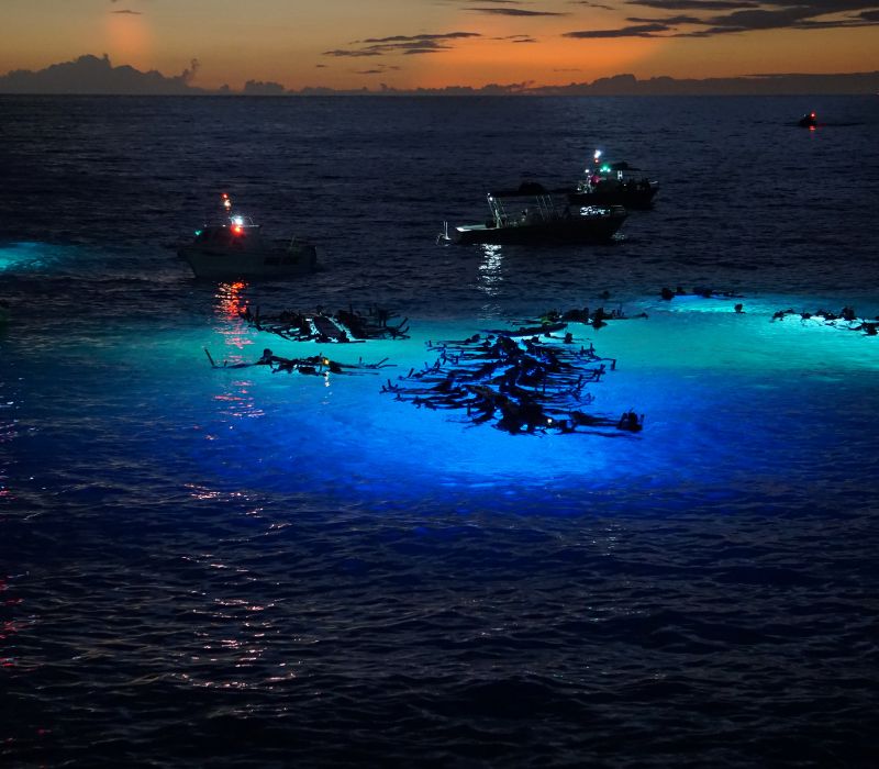 boat tours to see bioluminescence ocean