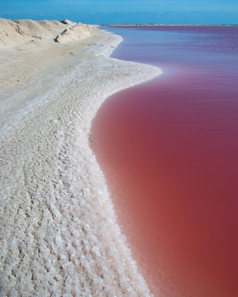 close up of pink lakes las coloradas