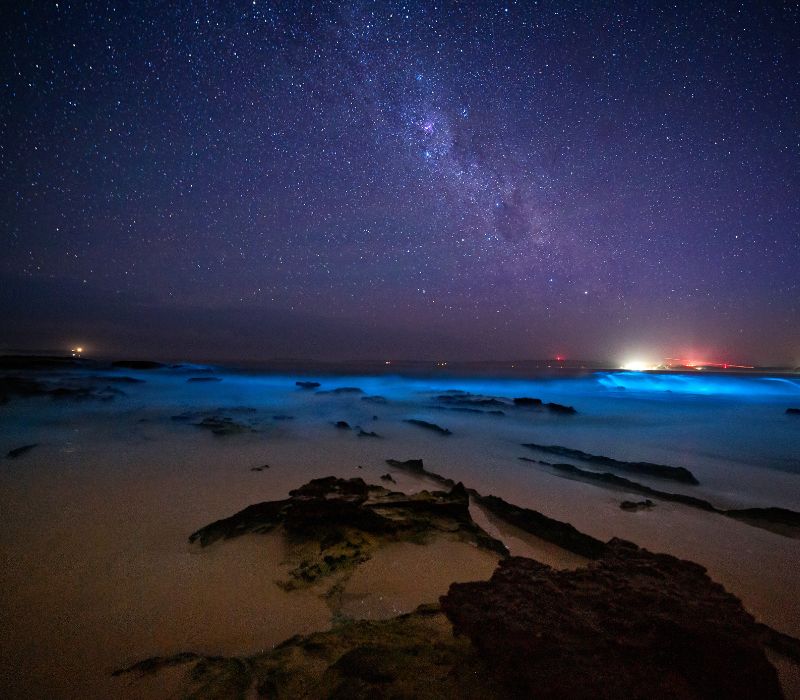 glowing beach under a clear sparkly sky