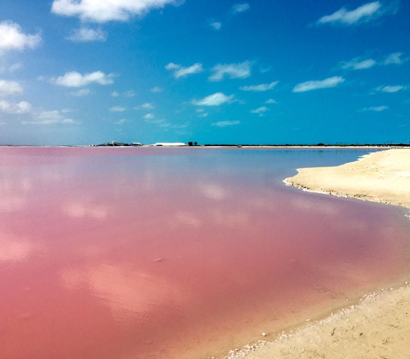 pink lakes of mexico