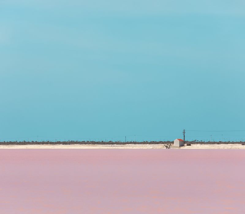 lake of pink waters las coloradas