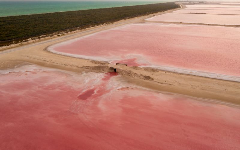 aerial view of las coloradas