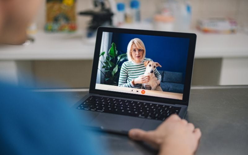 dog with owner doing an online consultation