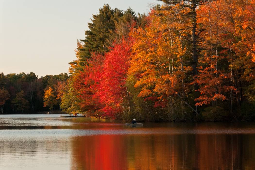 Fall Colored Magic
