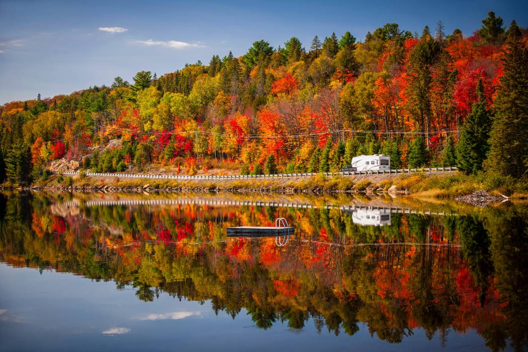 Highway through Fall Forest