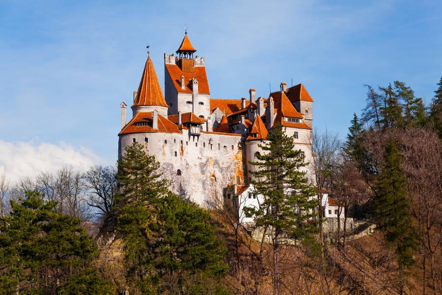 Bran Castle among trees on hill in Romania