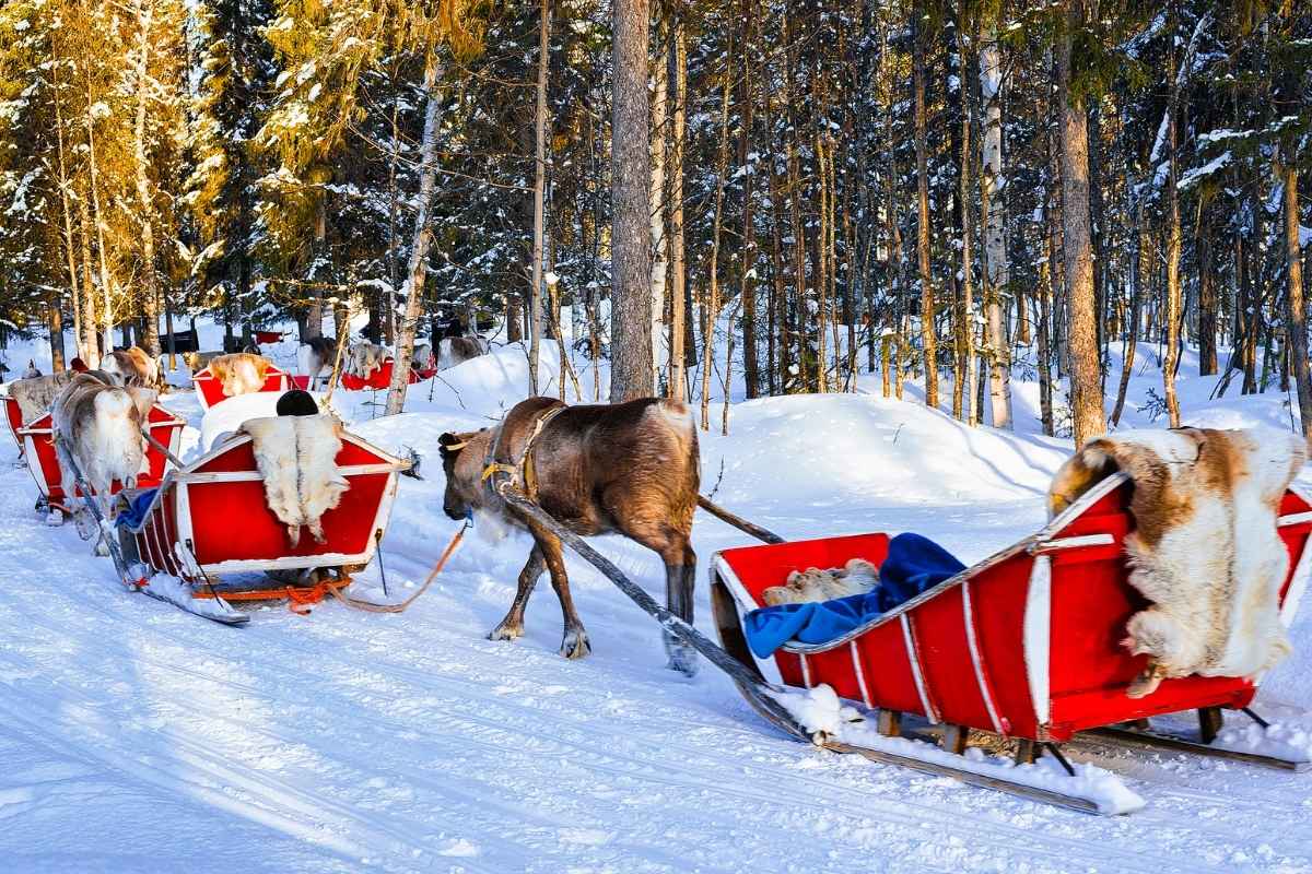 People on Reindeer sleigh in Finland in Rovaniemi at Lapland farm.