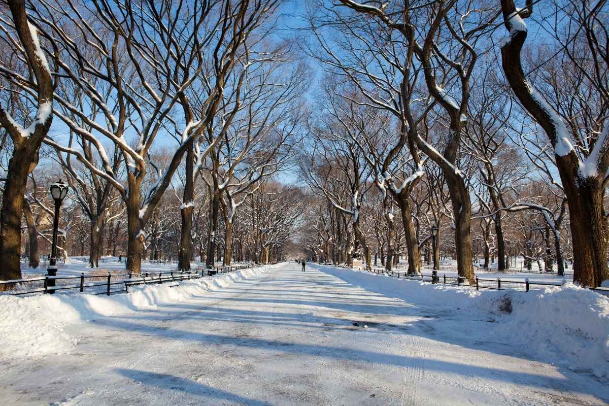 Winter in Central Park