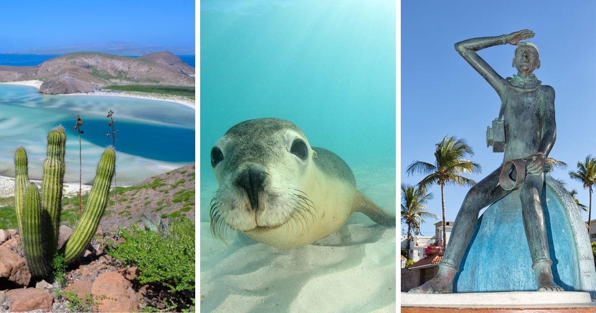 photo collages of the best things to do in la paz mexico, like visiting balandra beach, swimming with sea lions, and strolling the malecon boardwalk