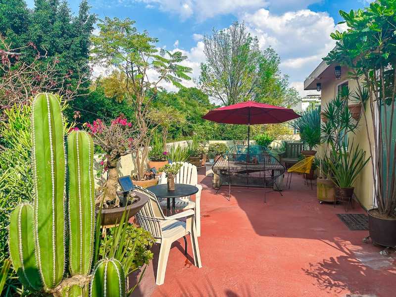 Private roof deck with cacti and plants at the Escandón loft Airbnb, Mexico City