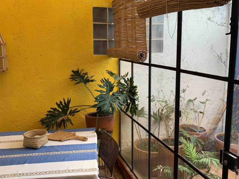 Sunny patio with a yellow wall at Casa Molcajete Airbnb in Coyoacán, Mexico City