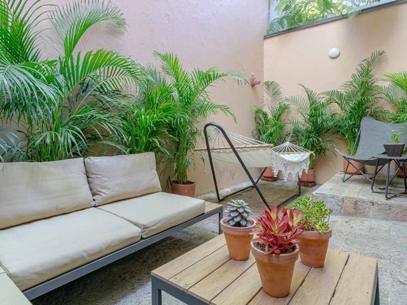 Plant-filled private terrace at Loft Balam Airbnb in Polanco, Mexico City