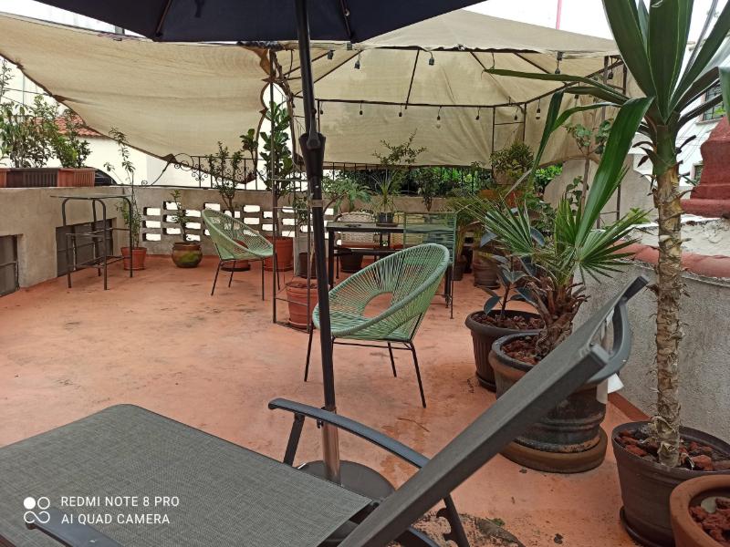 Plant-filled shared terrace with umbrellas at the Suite with Free Breakfast by Camino Real in Anzures, a cheap Airbnb in Mexico City
